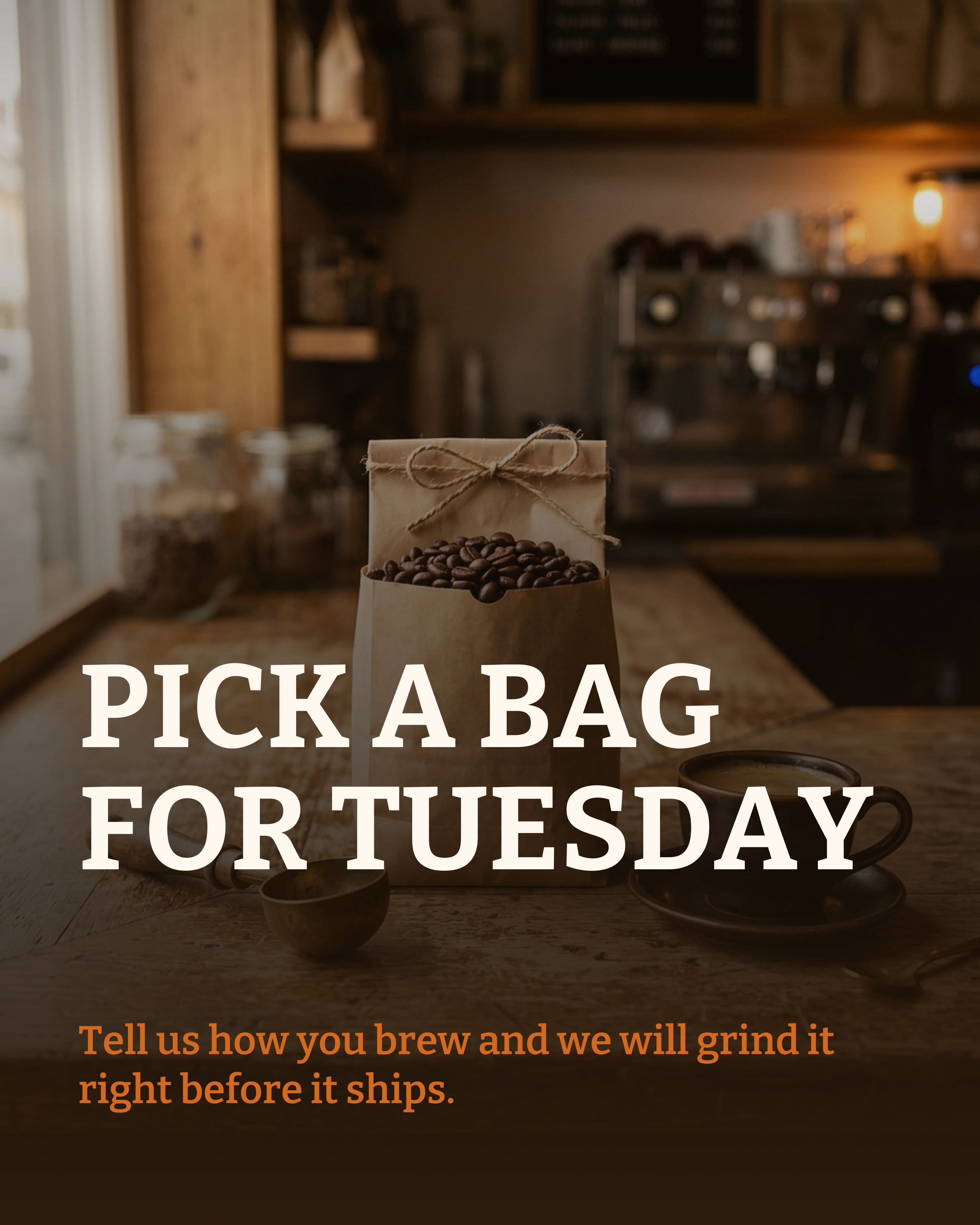 Closing slide asking readers to pick a bag
