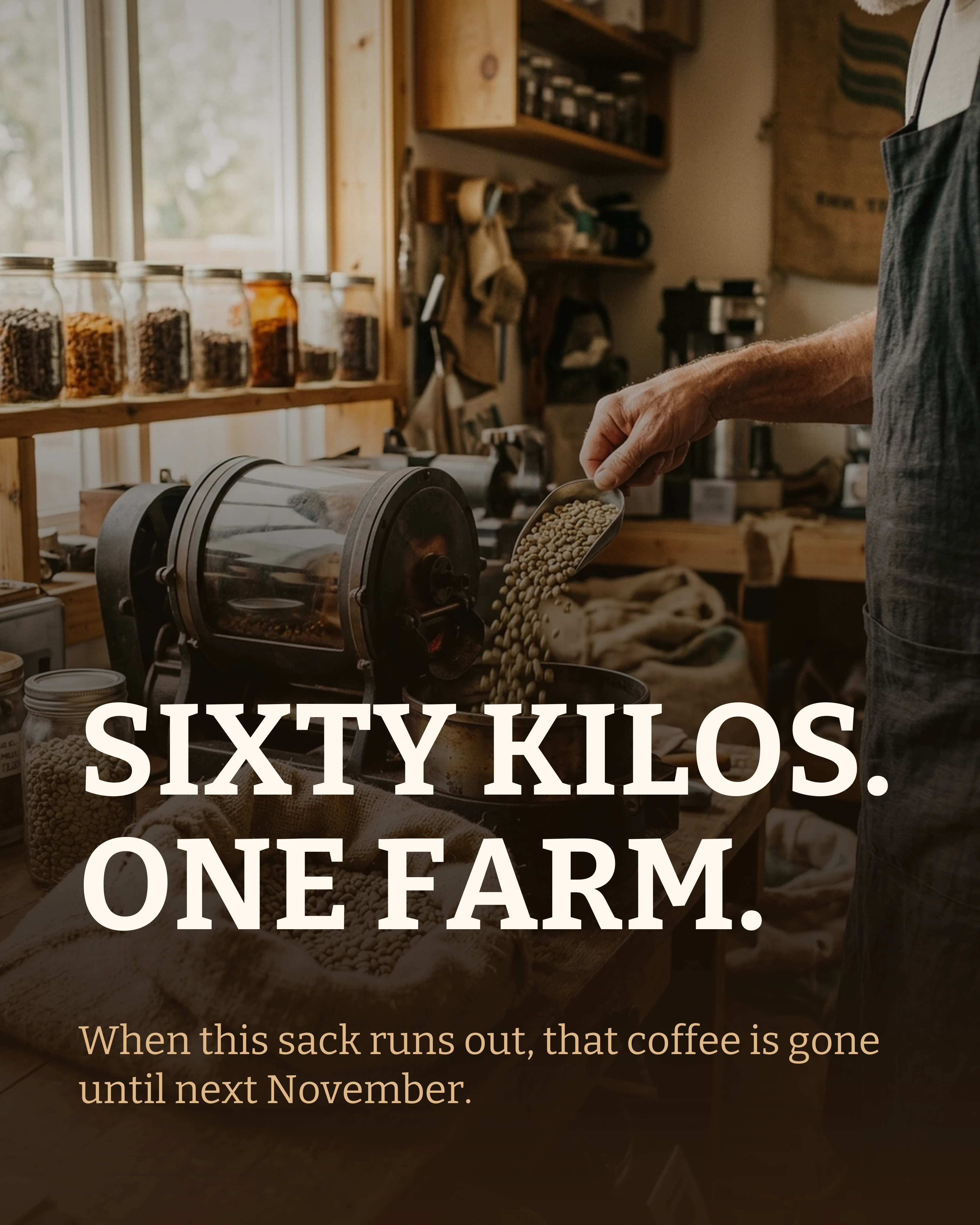 Cover slide: green coffee beans being tipped into a drum roaster