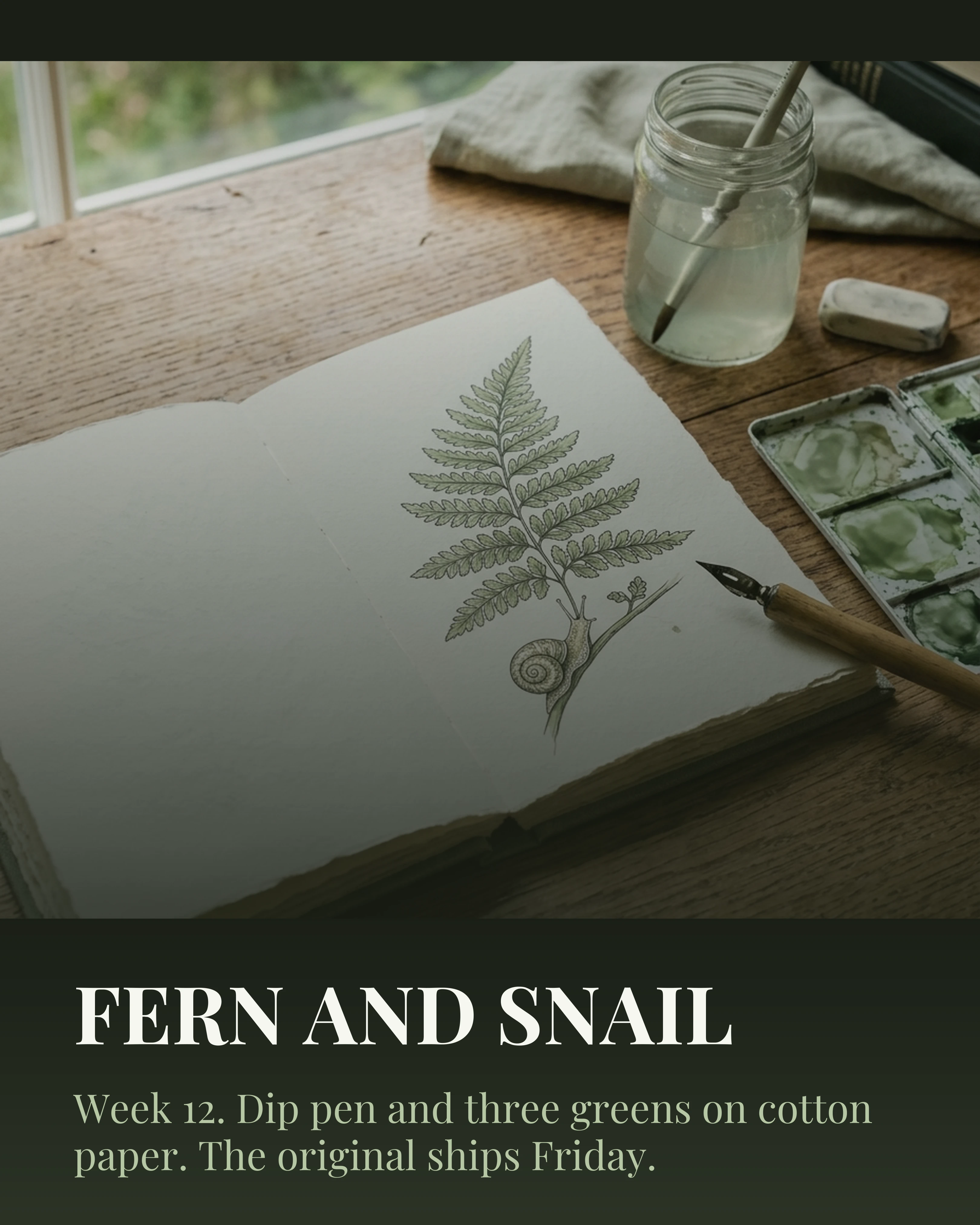 Illustrator's post: ink and watercolour fern and snail in a sketchbook, with dip pen and palette