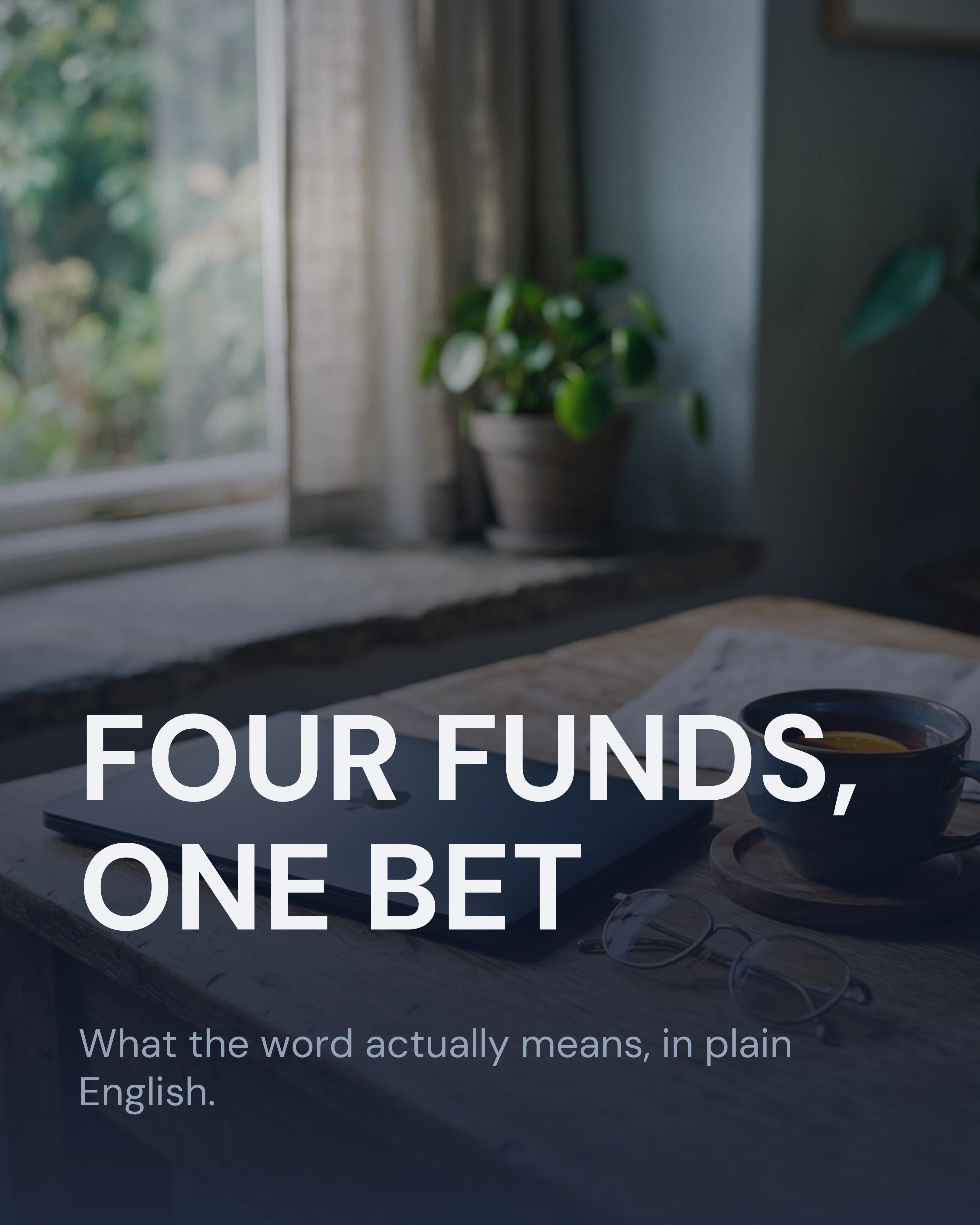 Cover slide: four funds, one bet