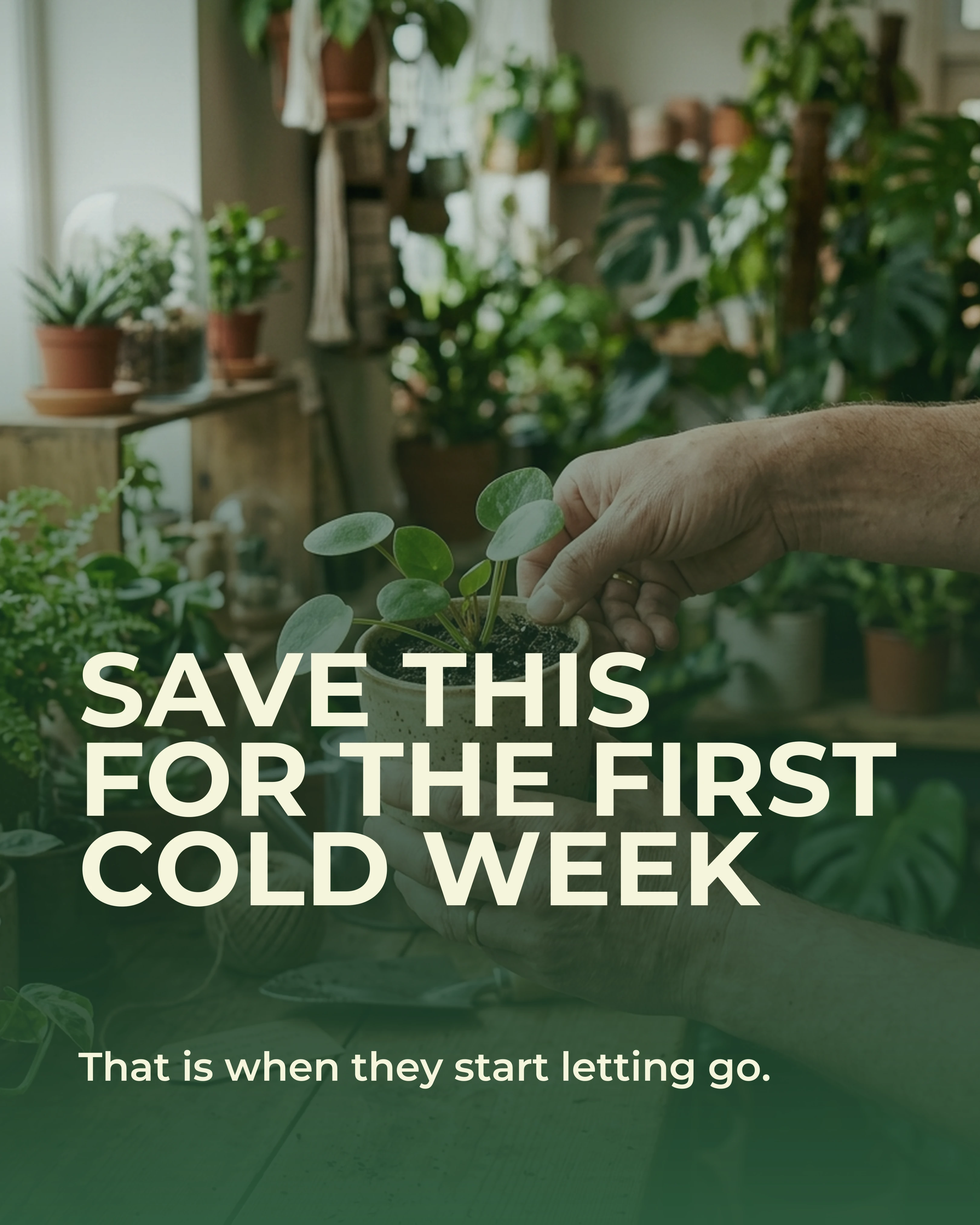 Closing slide: save this for the first cold week