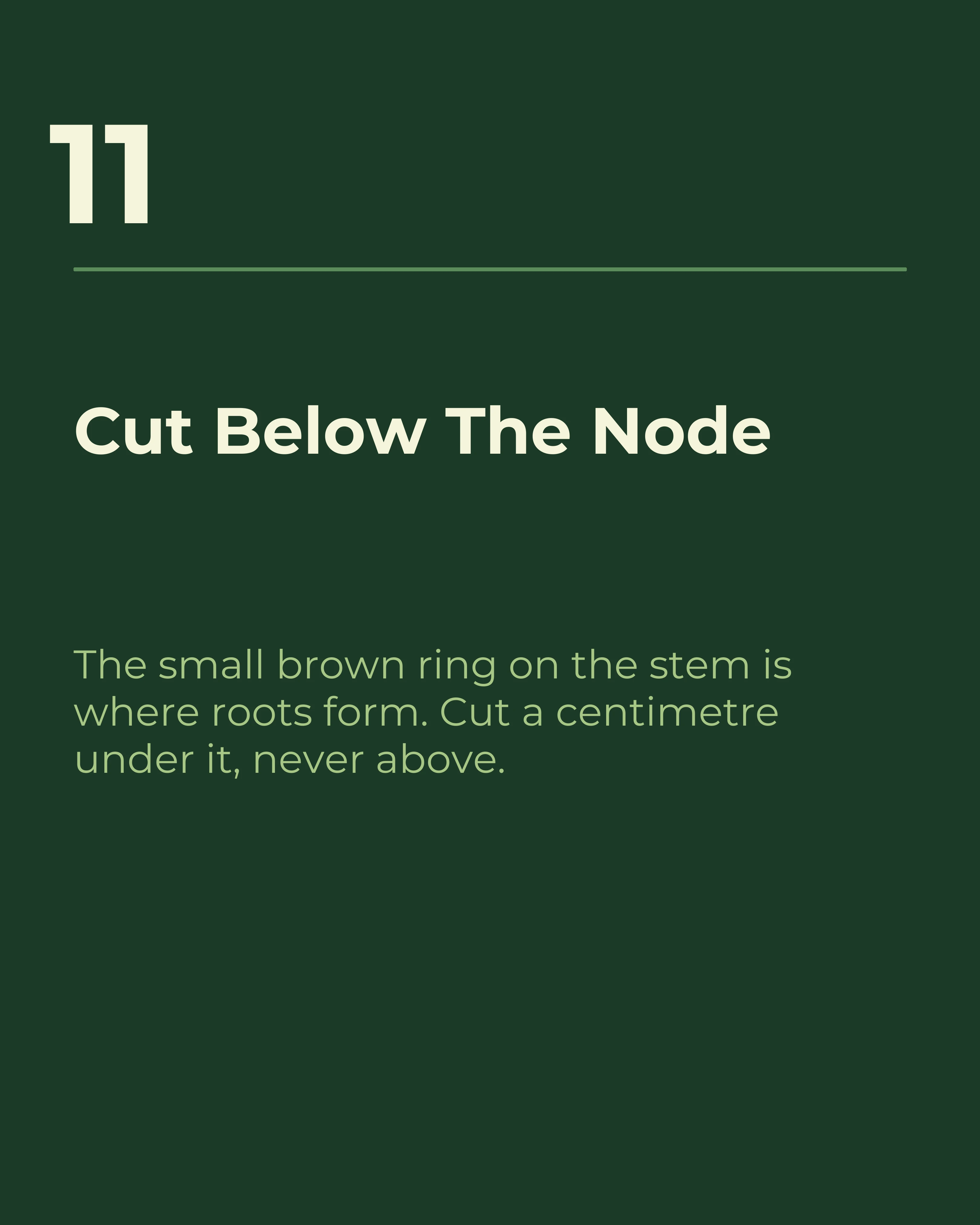 Slide eleven: cut below the node
