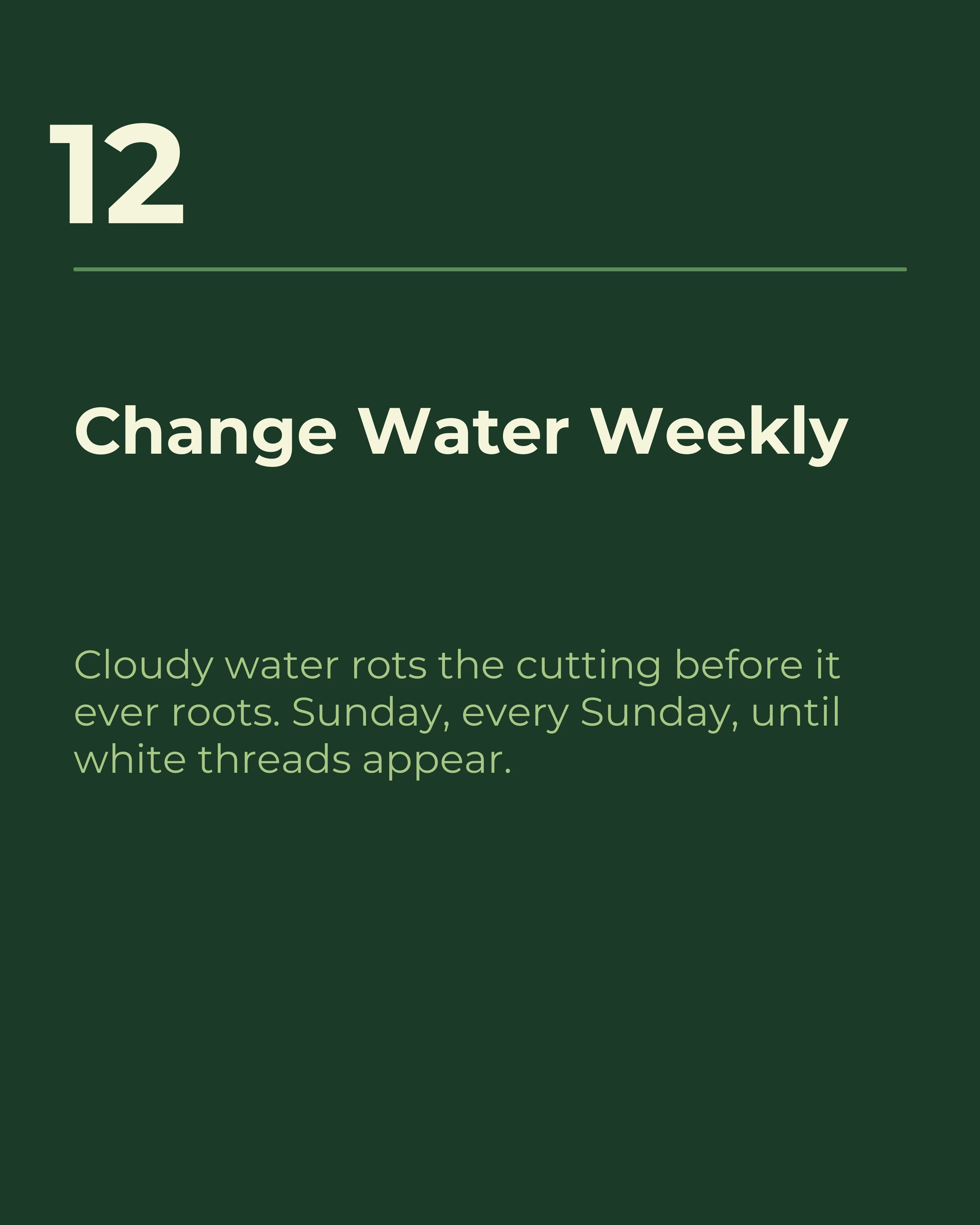 Slide twelve: change water weekly