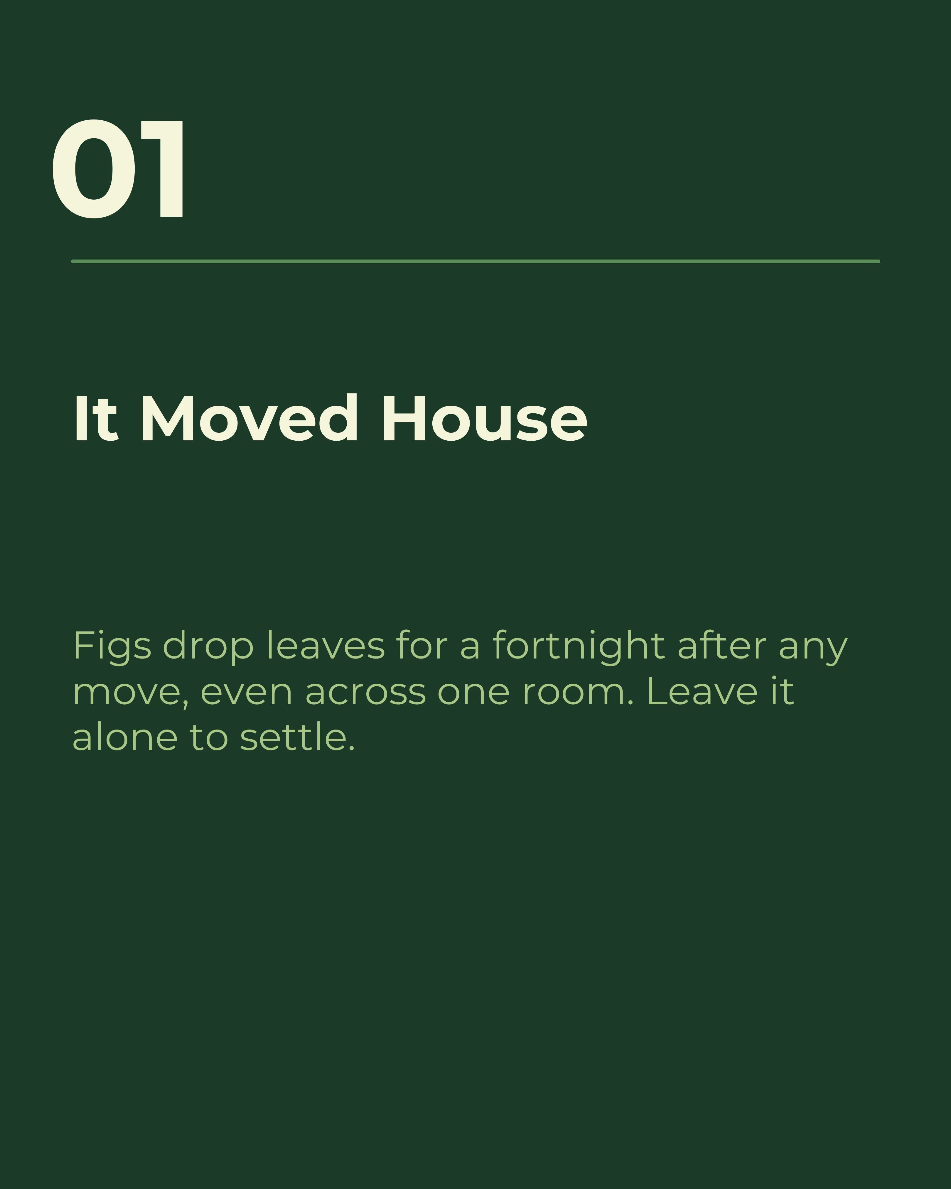 Ideal carousel length slide