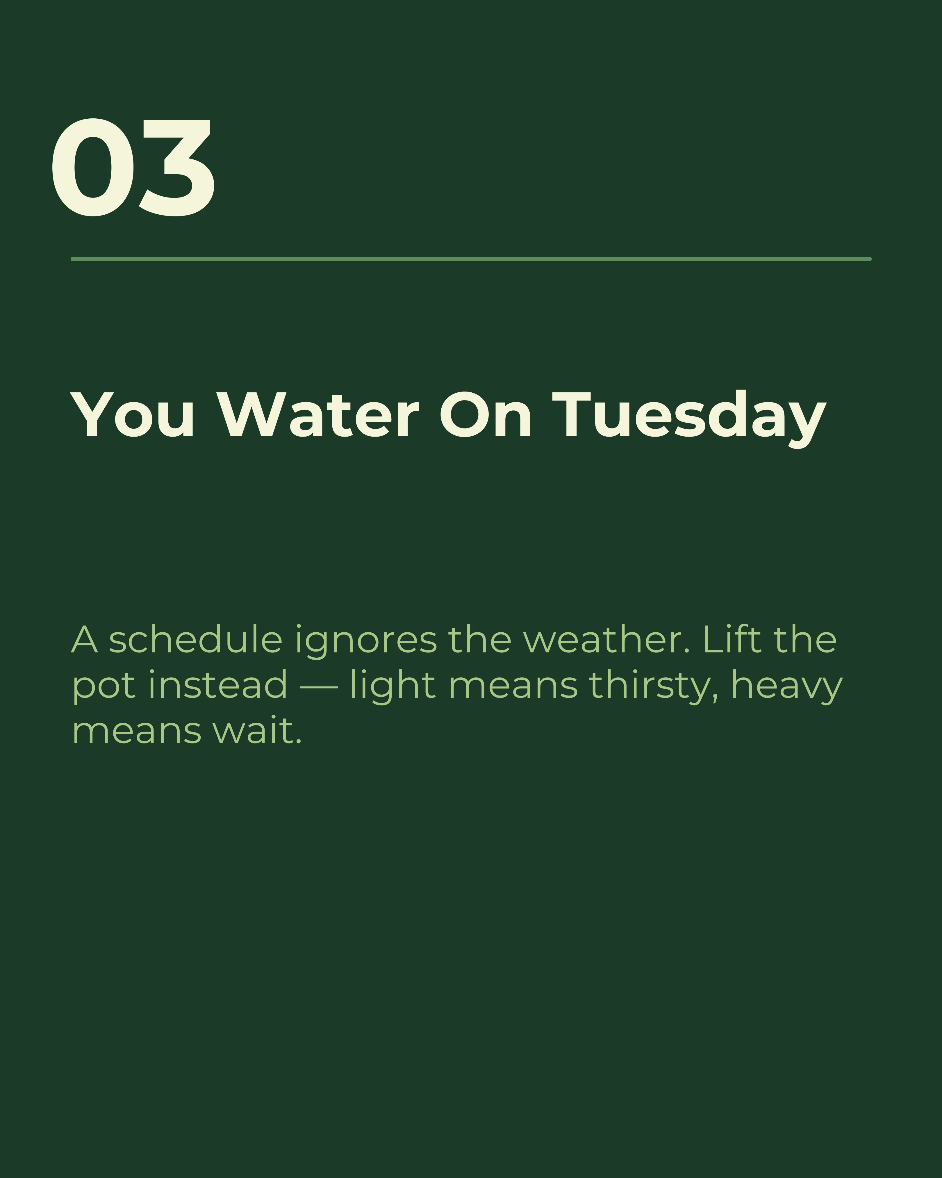 Slide three: you water on Tuesday