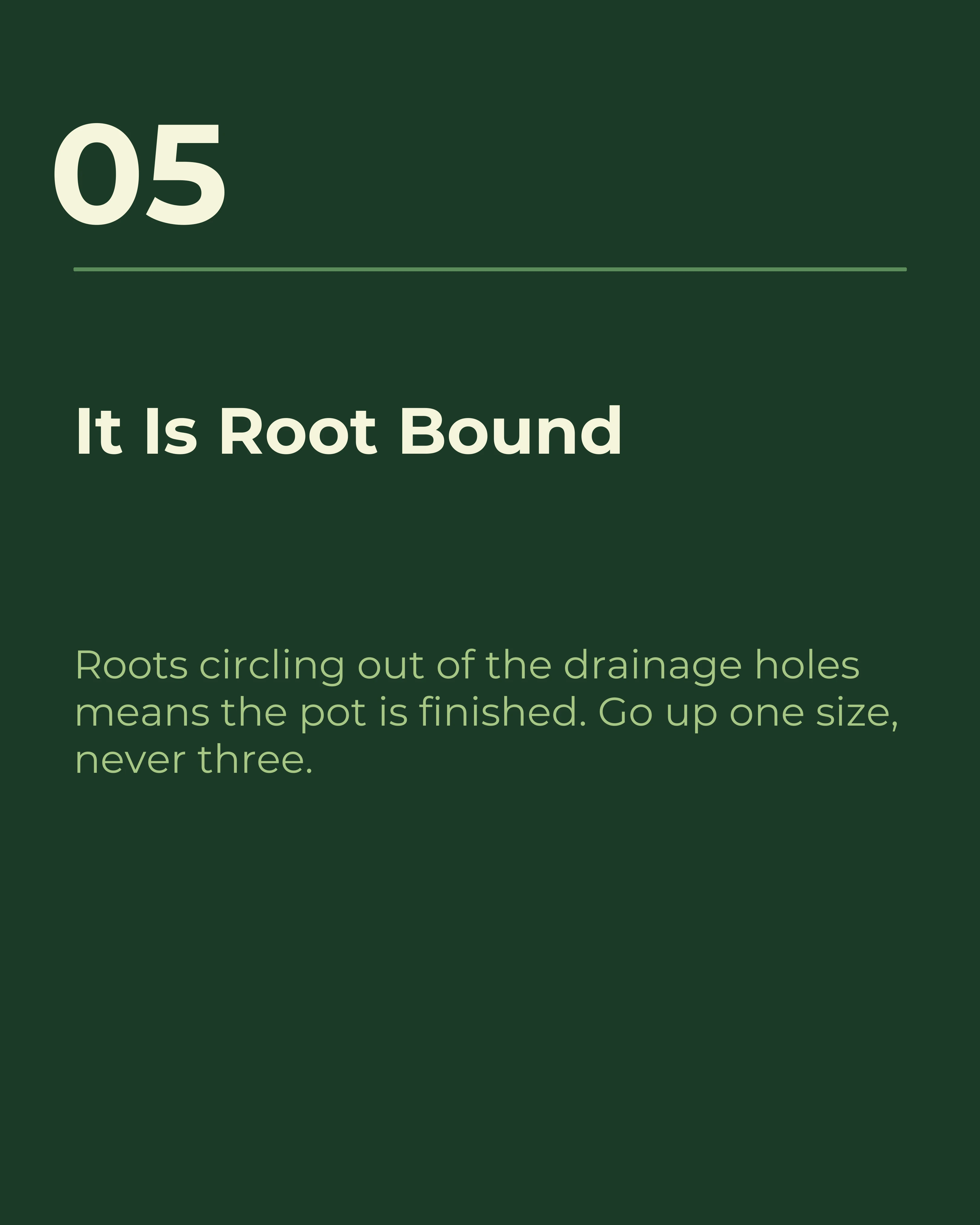 Slide five: it is root bound