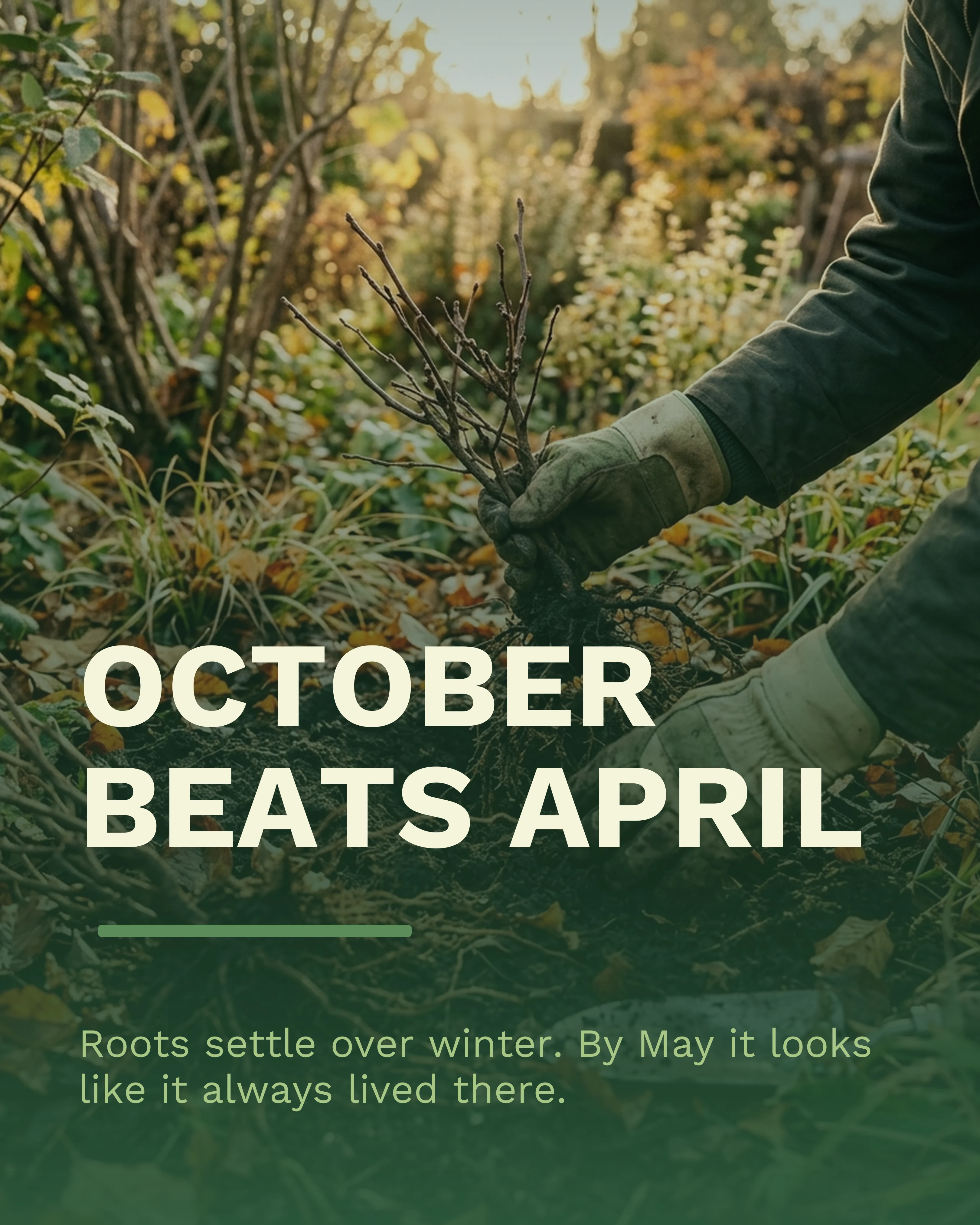 Autumn seasonal planting slide