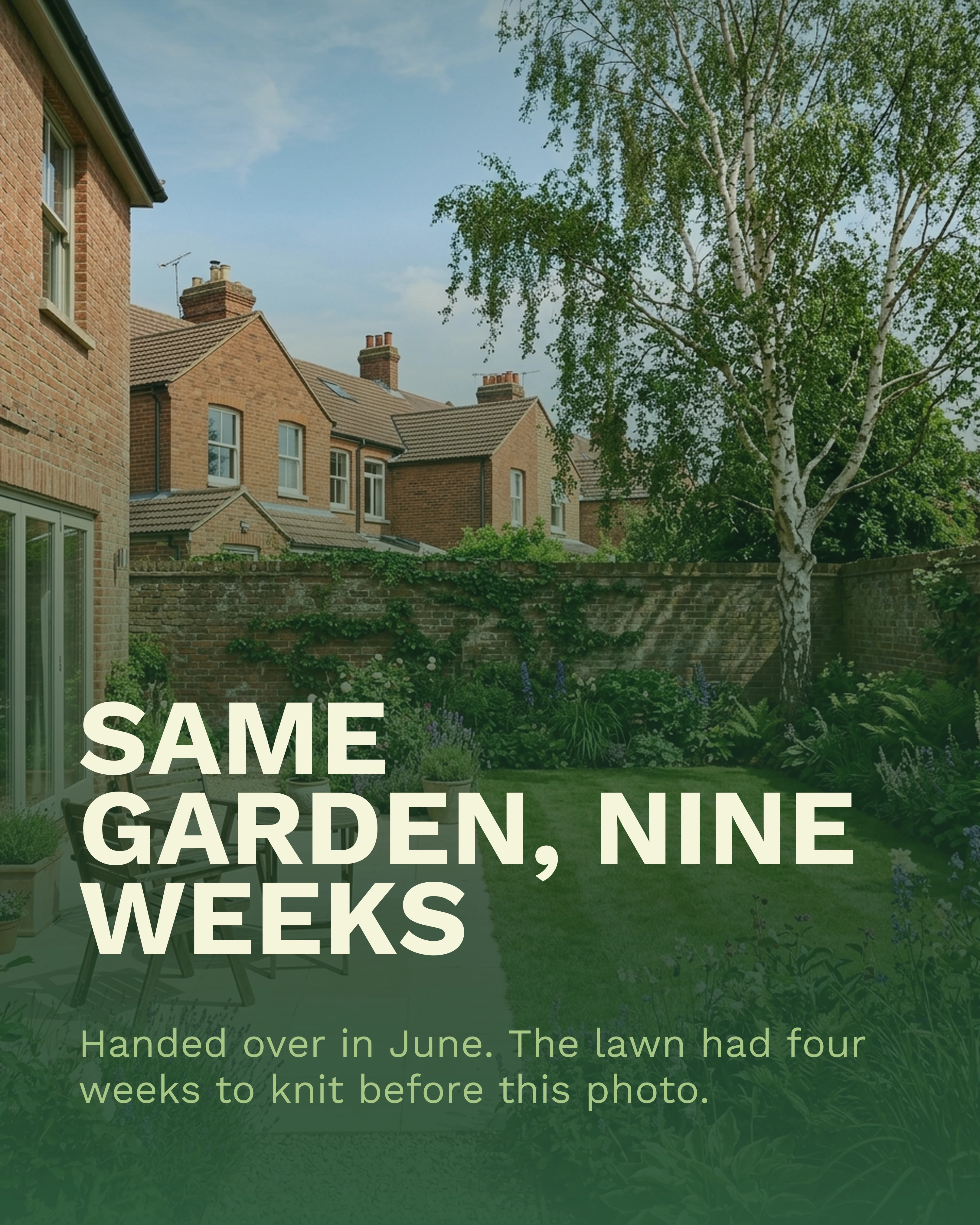 The finished garden in daylight