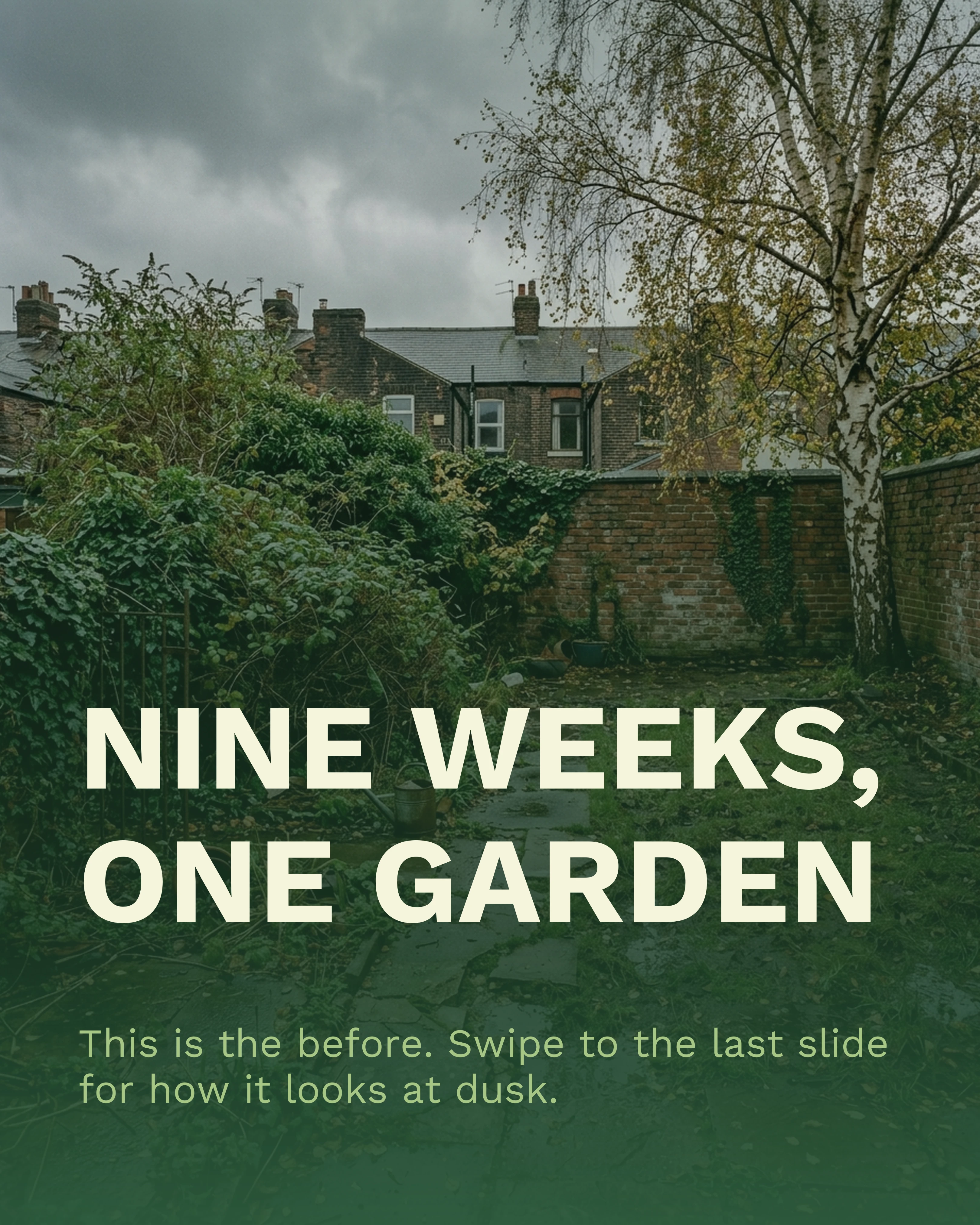 Cover slide: the garden before, patchy lawn and broken slabs