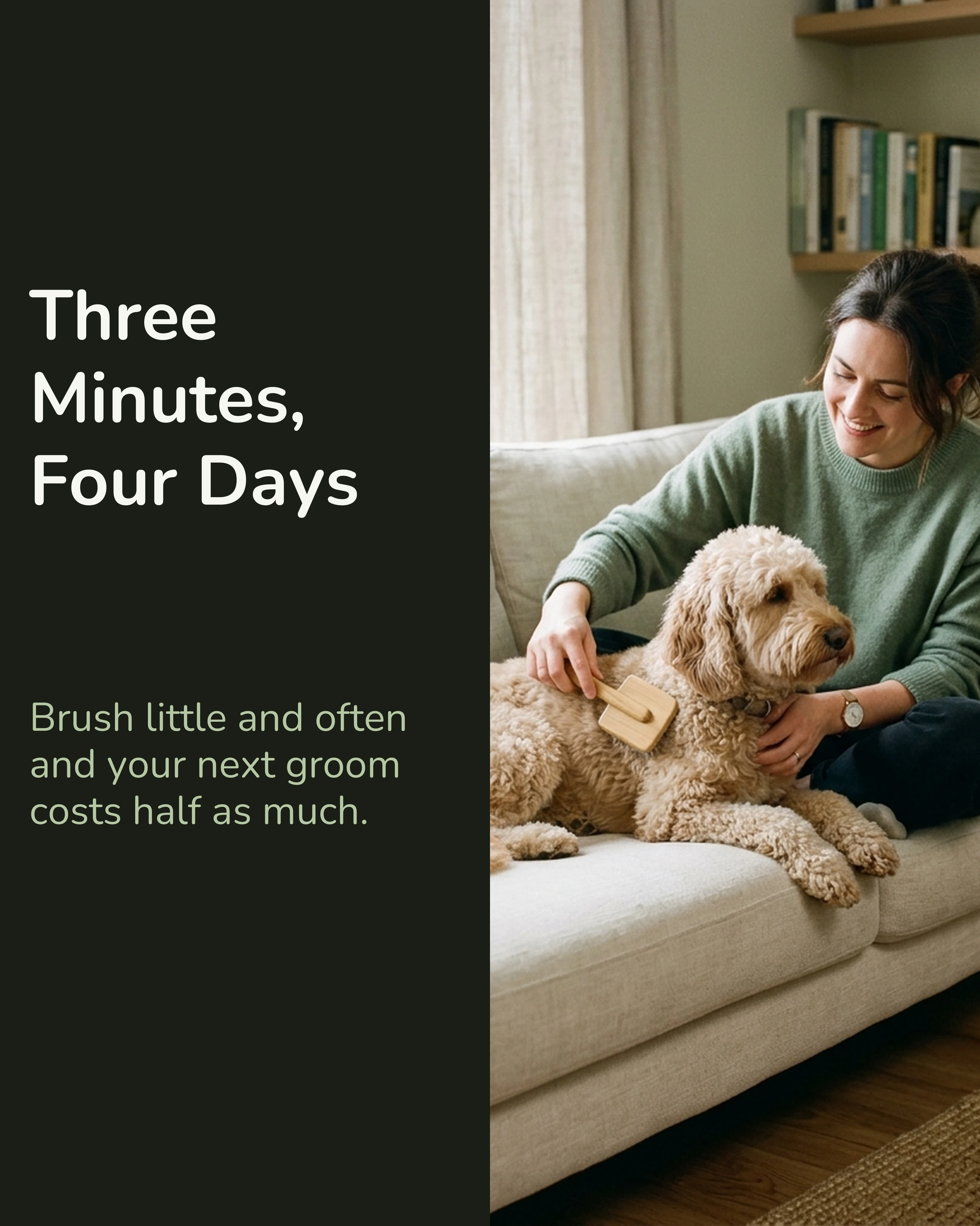 Owner brushing doodle at home between appointments slide