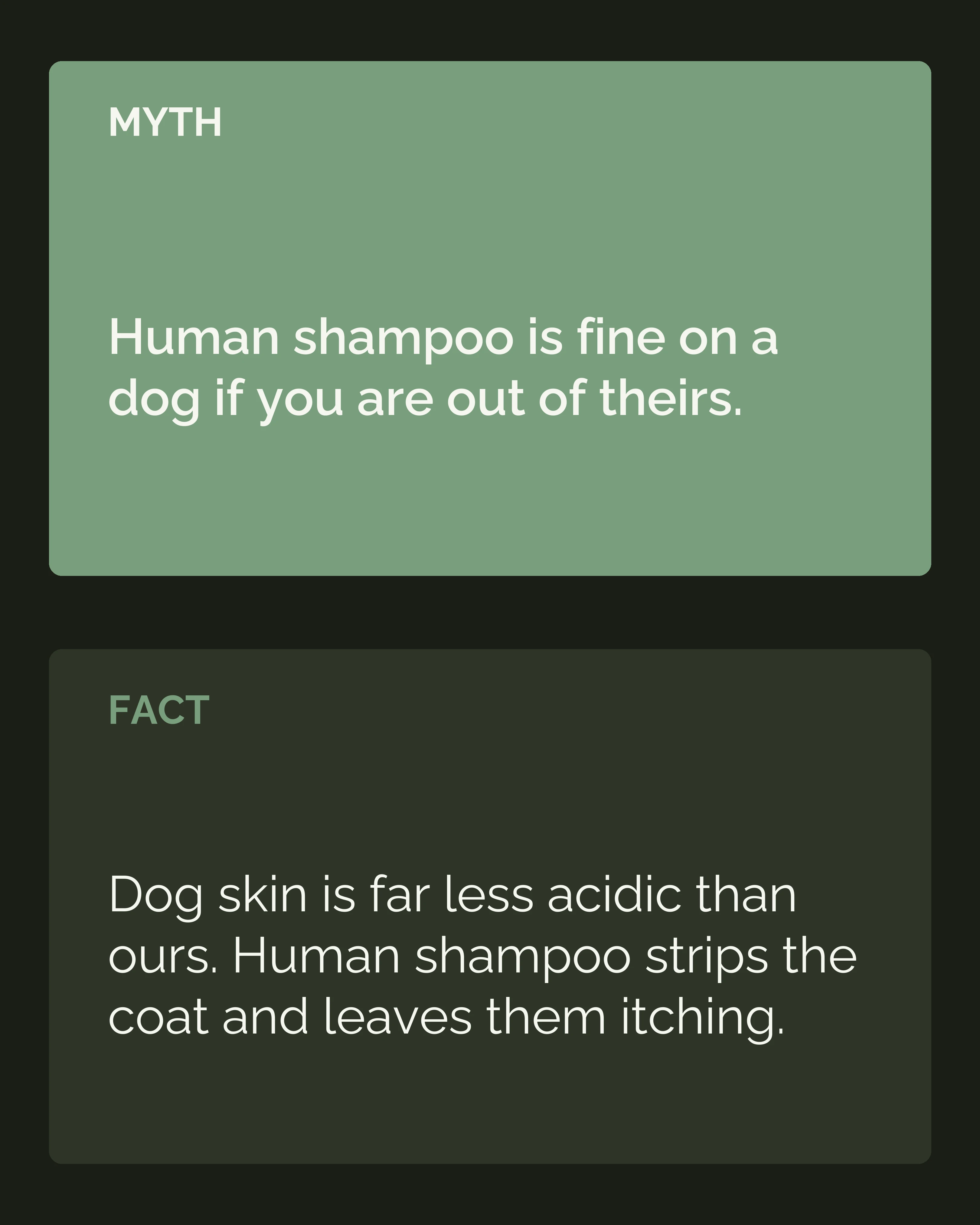 Myth and fact: human shampoo is fine on a dog