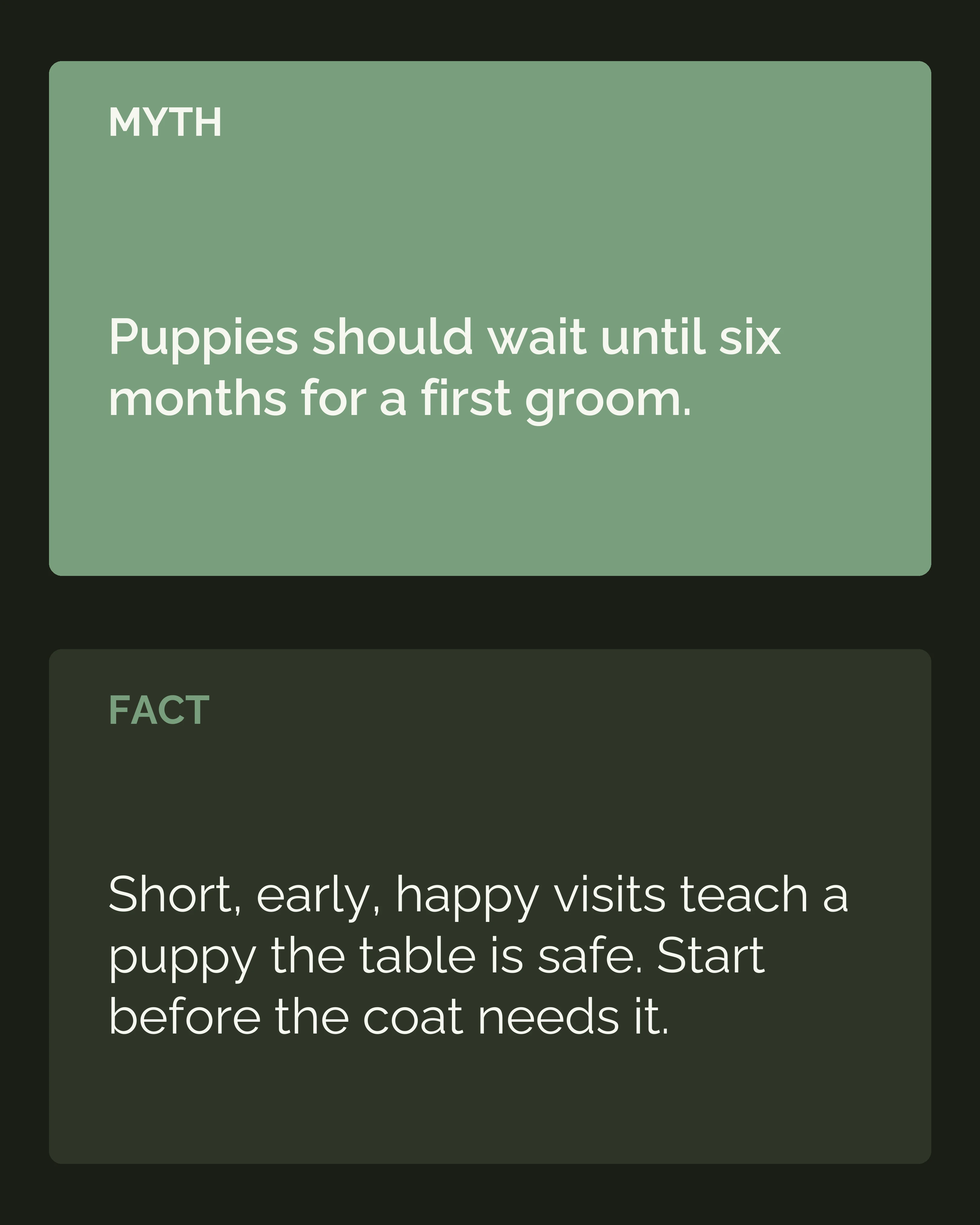 Myth and fact: puppies should wait six months for a first groom