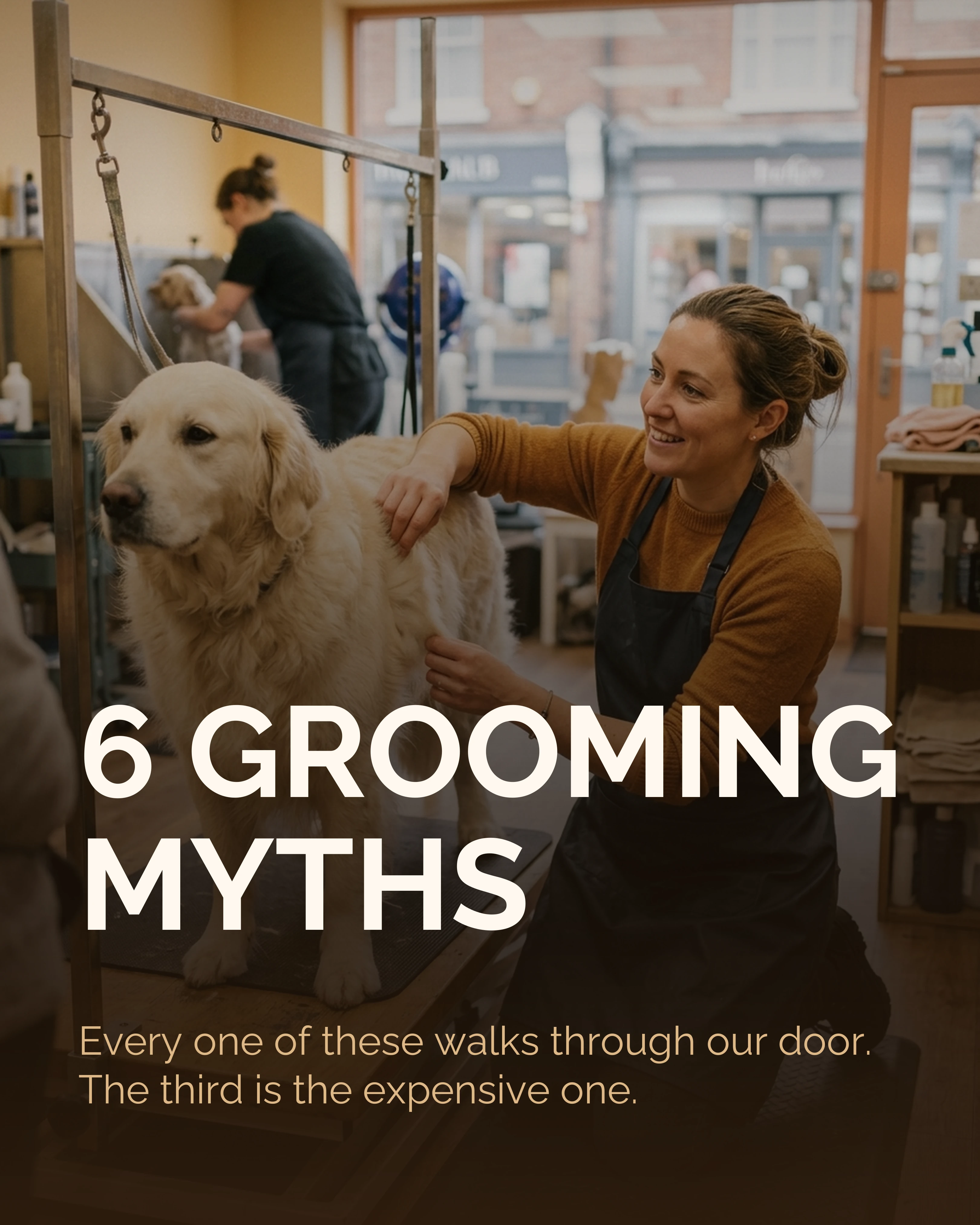 Cover slide: groomer showing a dog's undercoat, six grooming myths