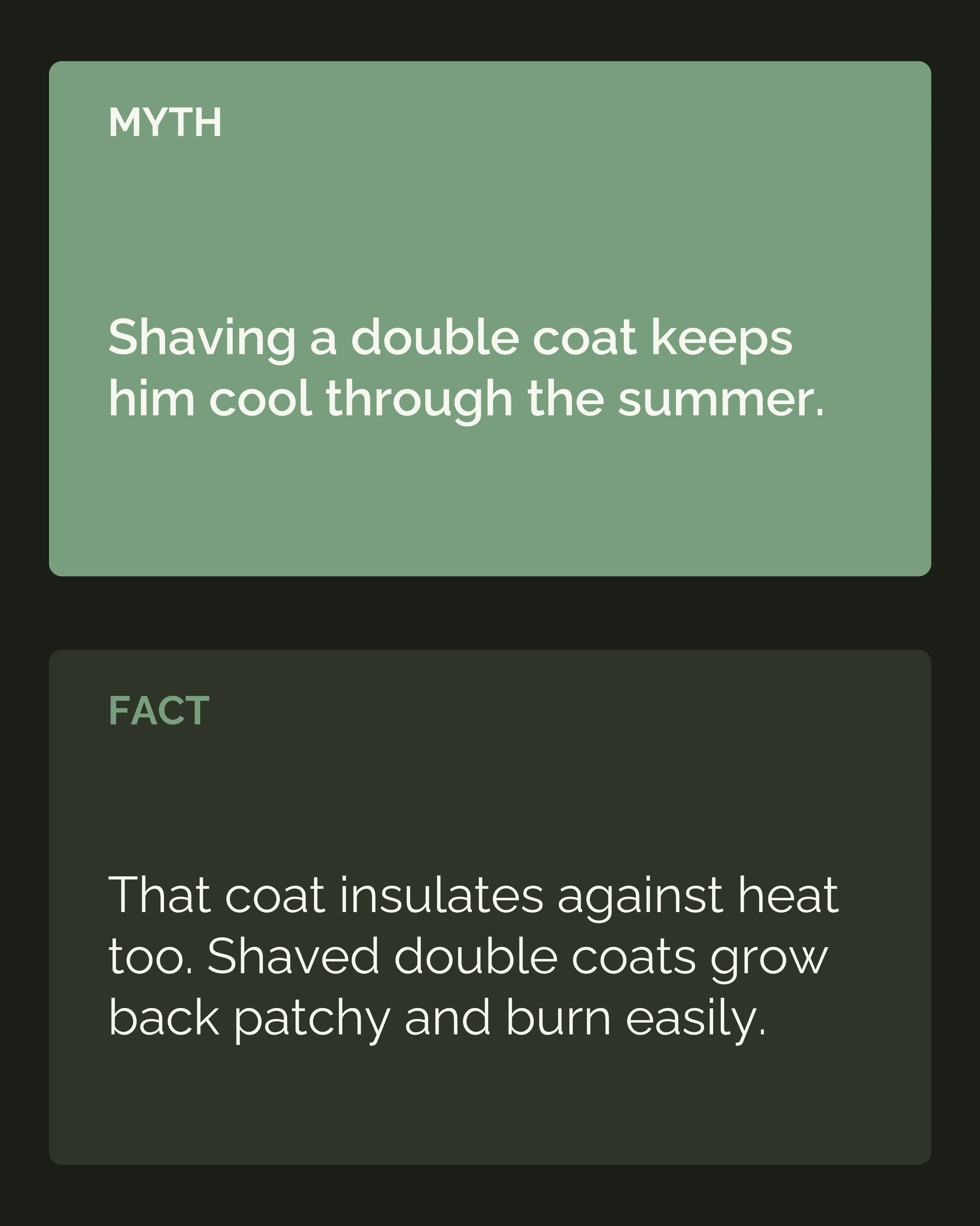 Myth and fact: shaving a double coat keeps a dog cool