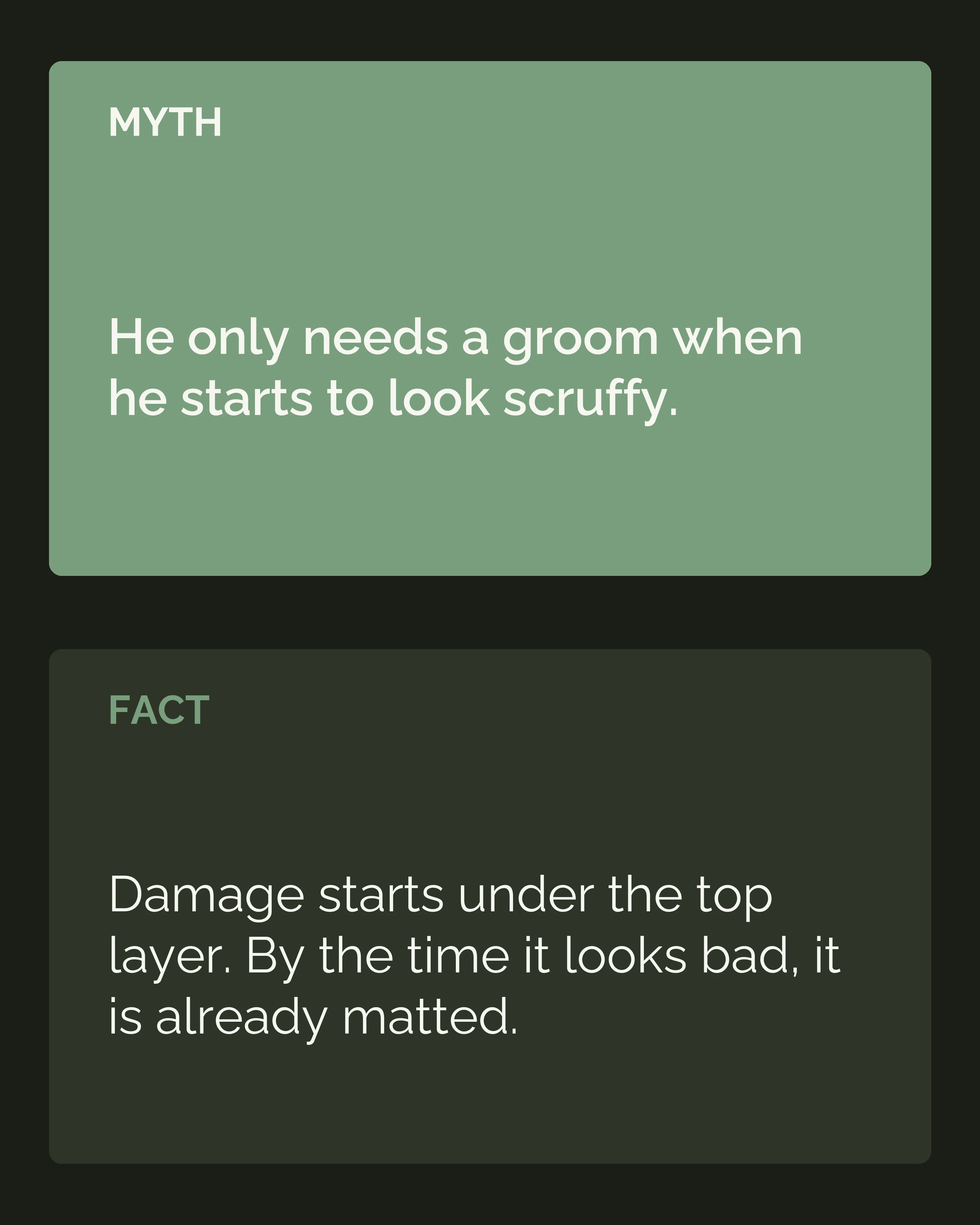 Myth and fact: a dog only needs grooming when he looks scruffy
