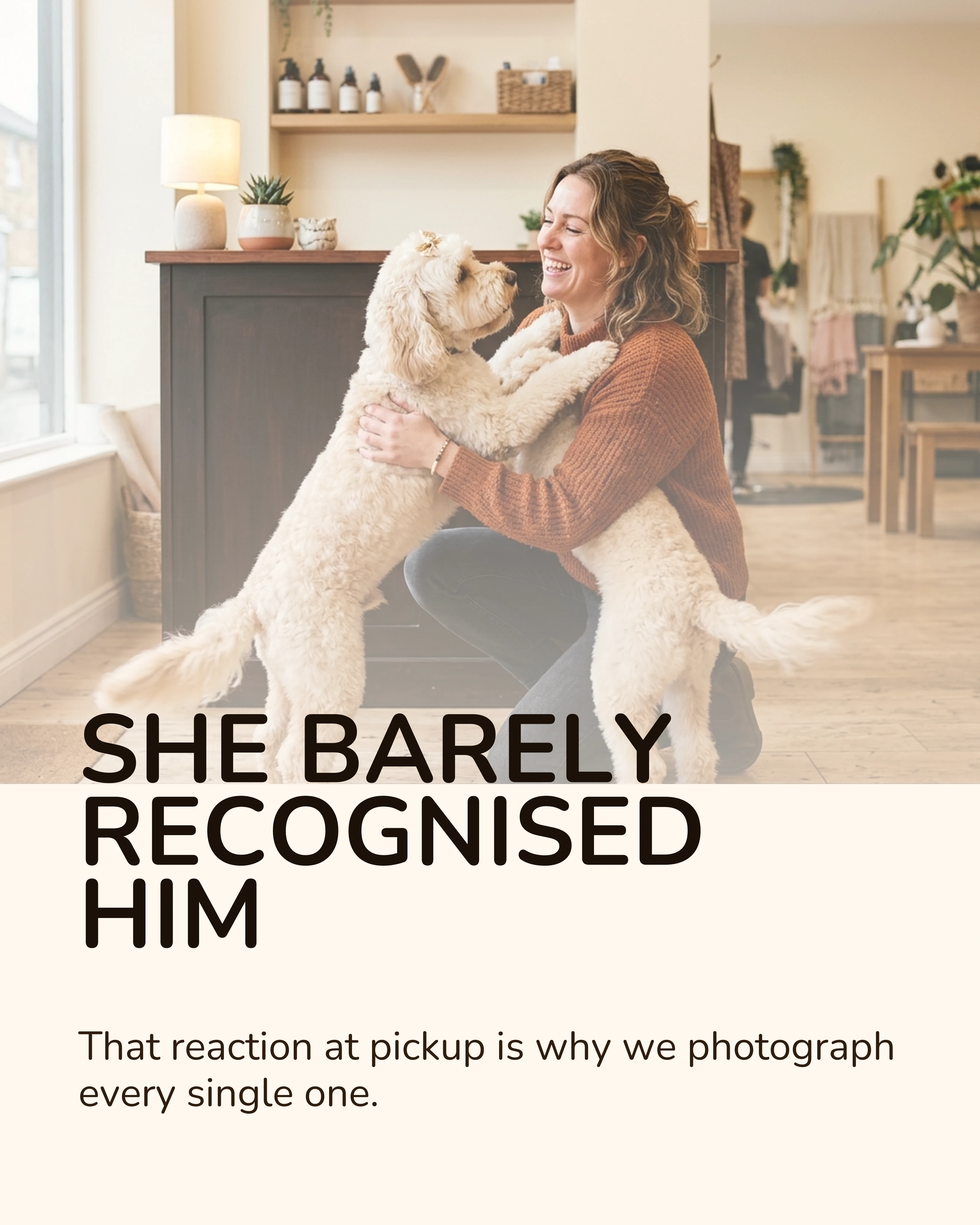 Owner reunited with her groomed dog at pickup