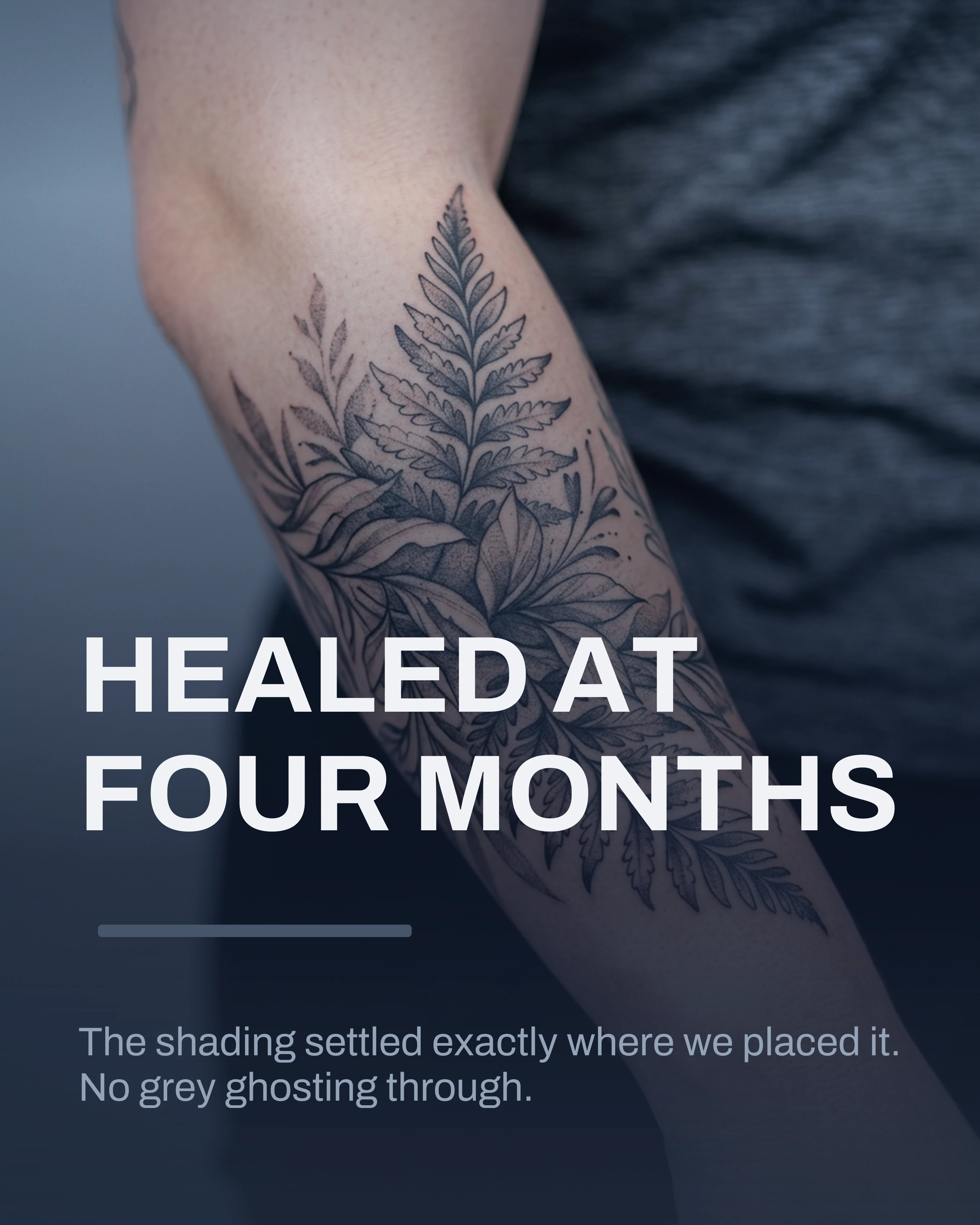 Close detail of healed leaf shading
